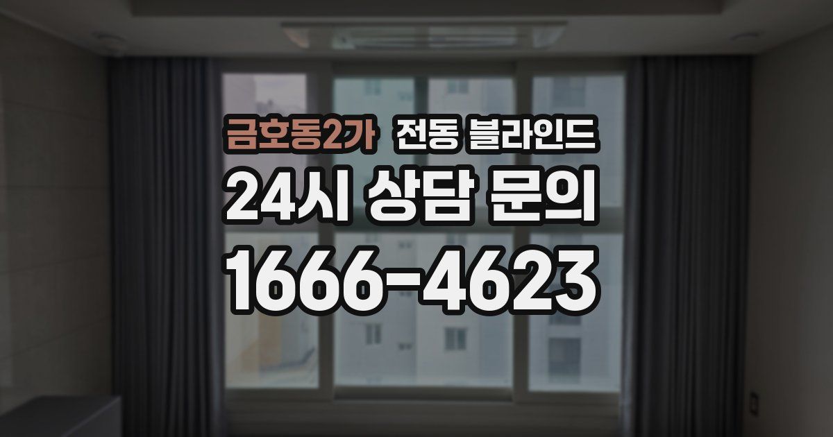 금호동2가 전동 블라인드