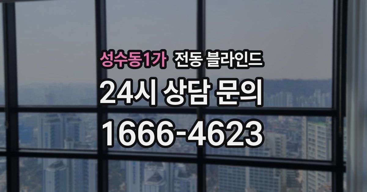 성수동1가 전동 블라인드