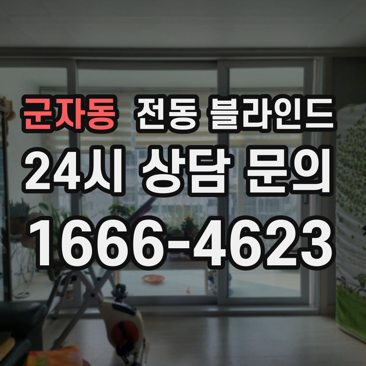 군자동 전동 블라인드