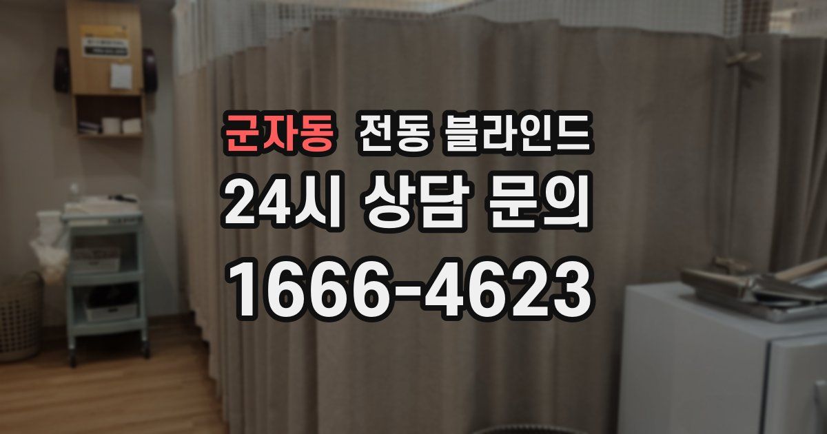 군자동 전동 블라인드