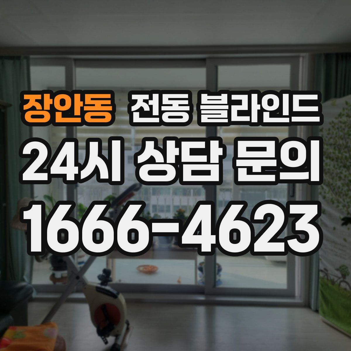 장안동 전동 블라인드