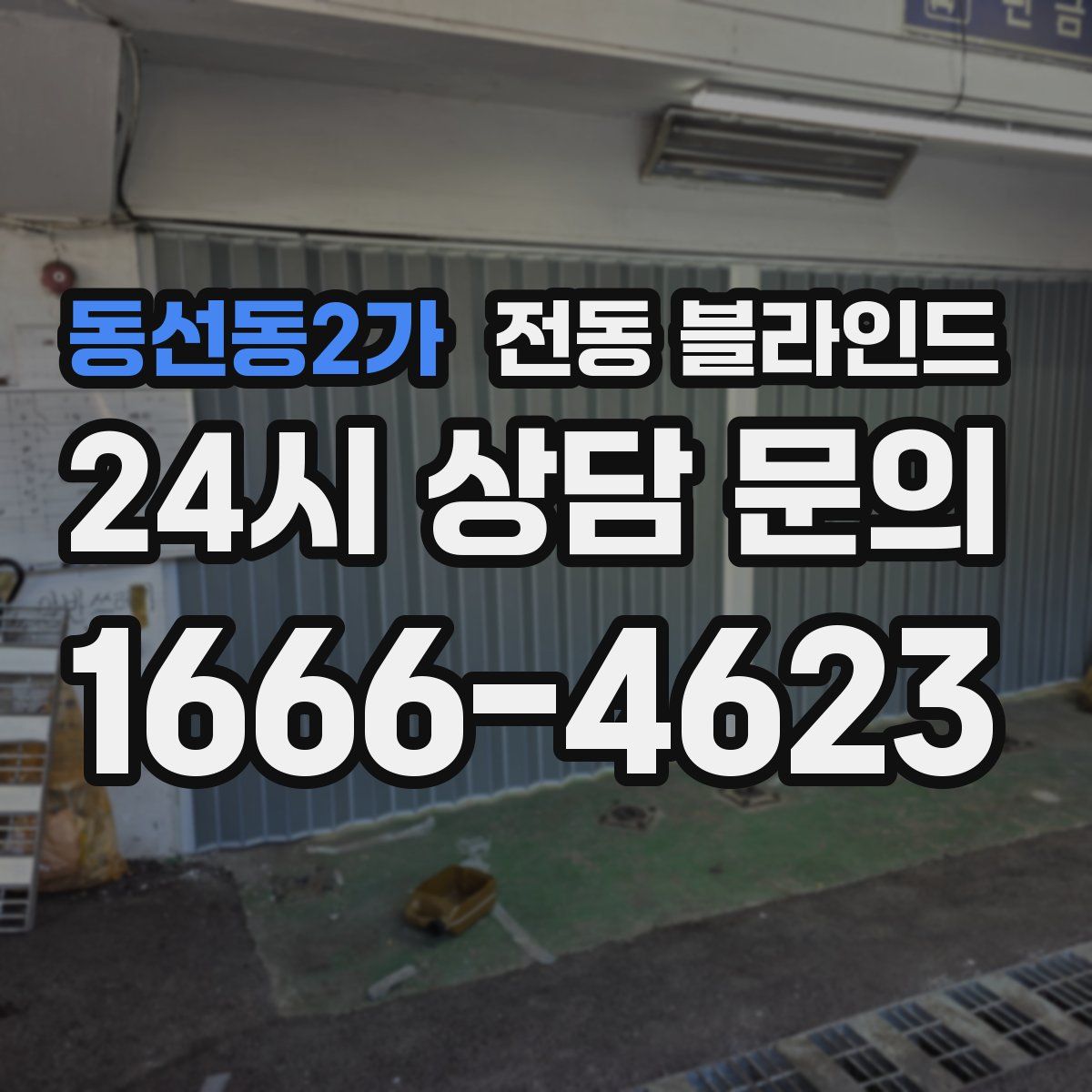 동선동2가 전동 블라인드