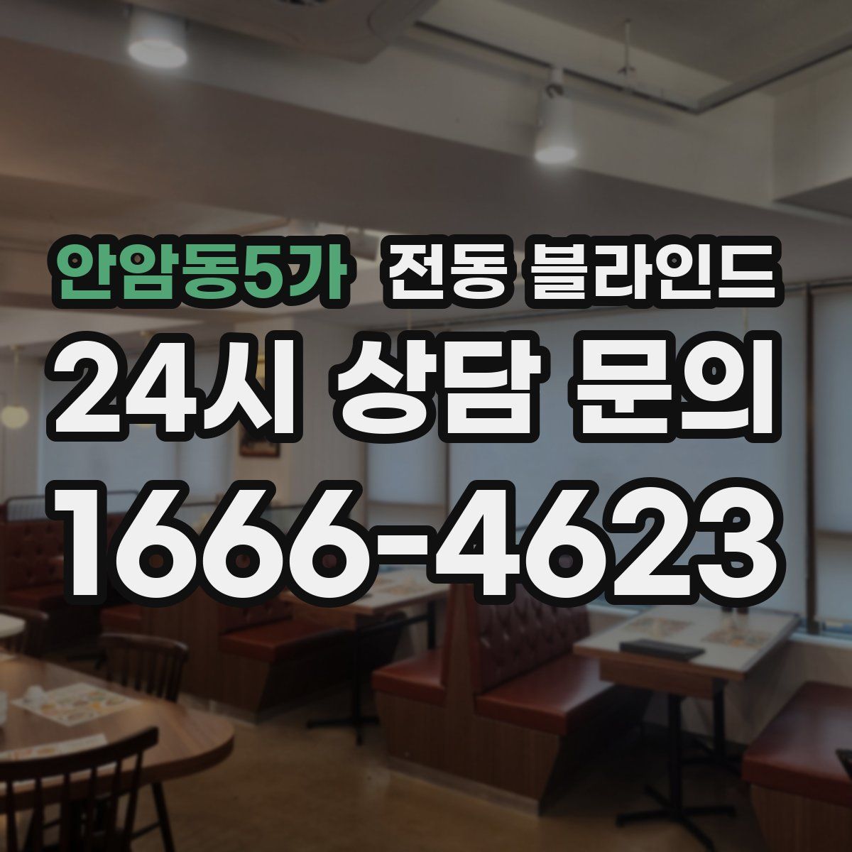 안암동5가 전동 블라인드