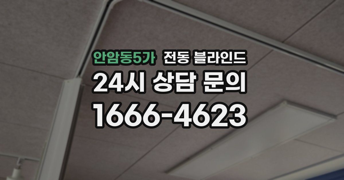 안암동5가 전동 블라인드