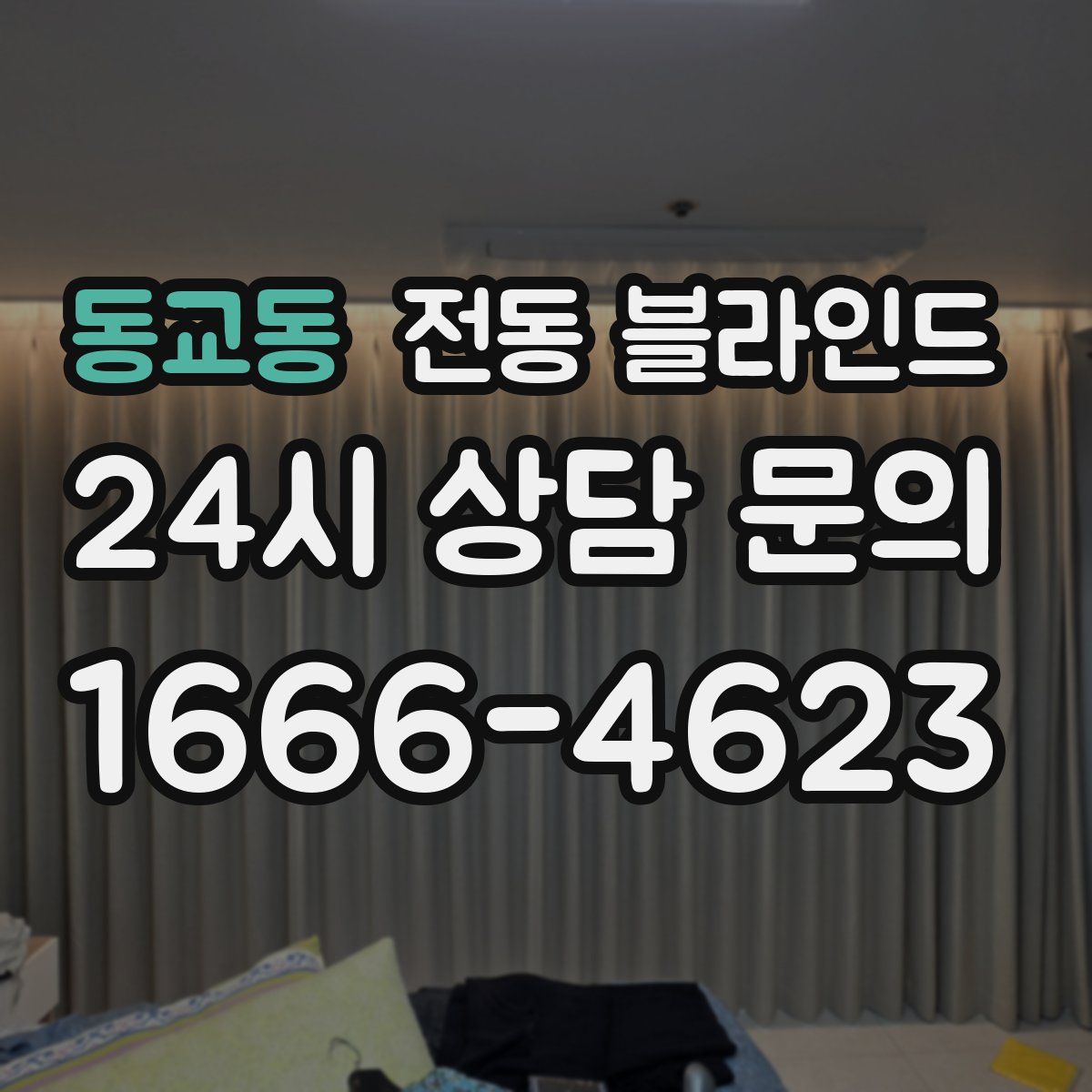 동교동 전동 블라인드