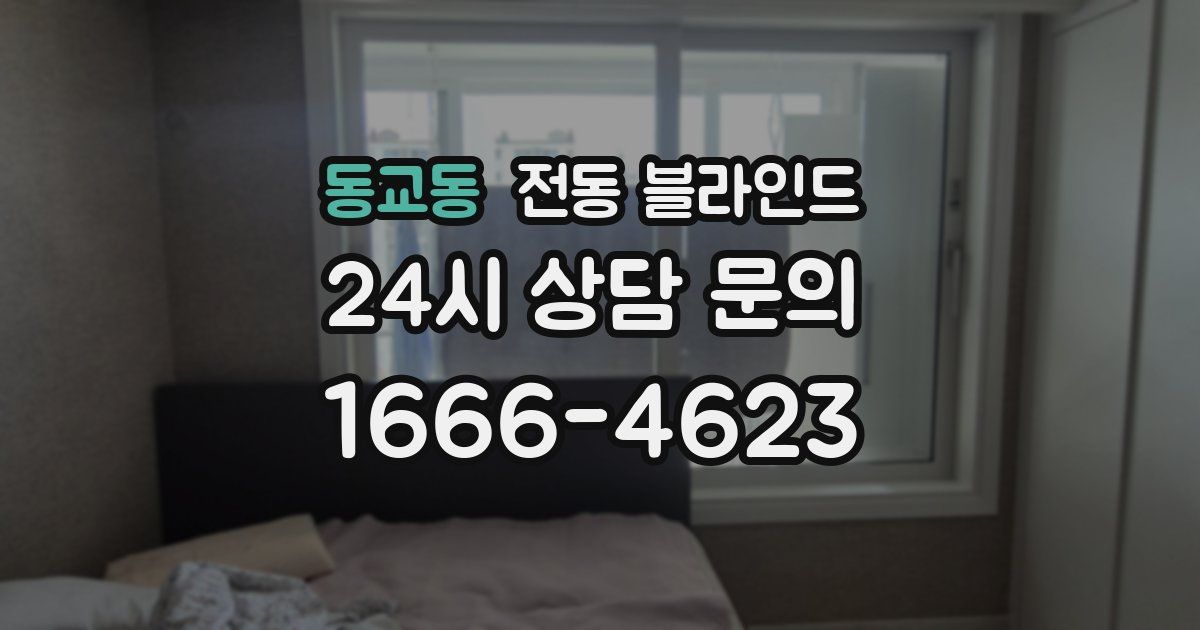 동교동 전동 블라인드
