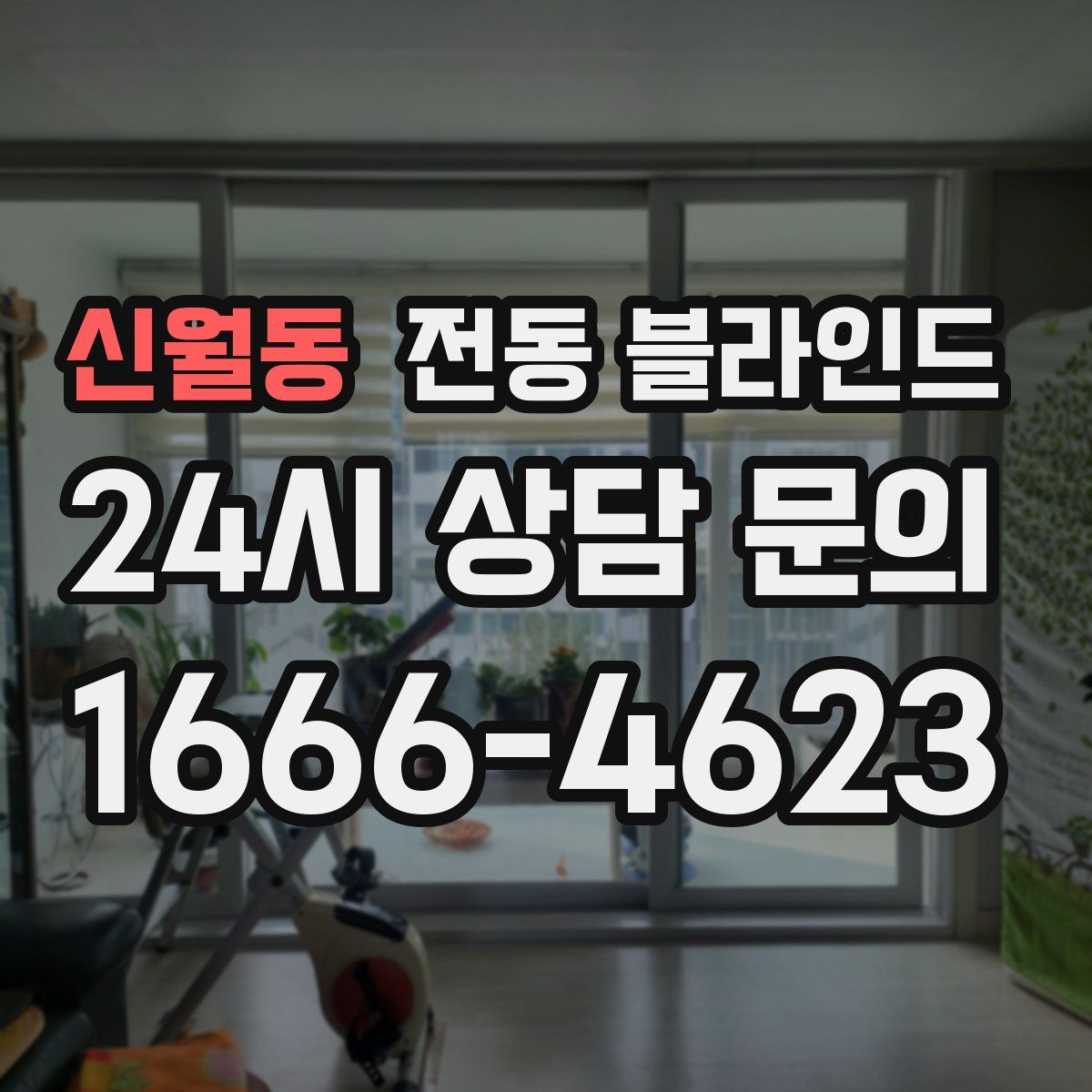 신월동 전동 블라인드