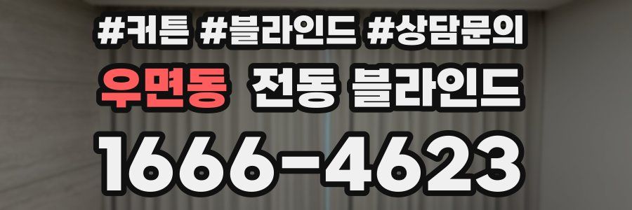우면동 전동 블라인드