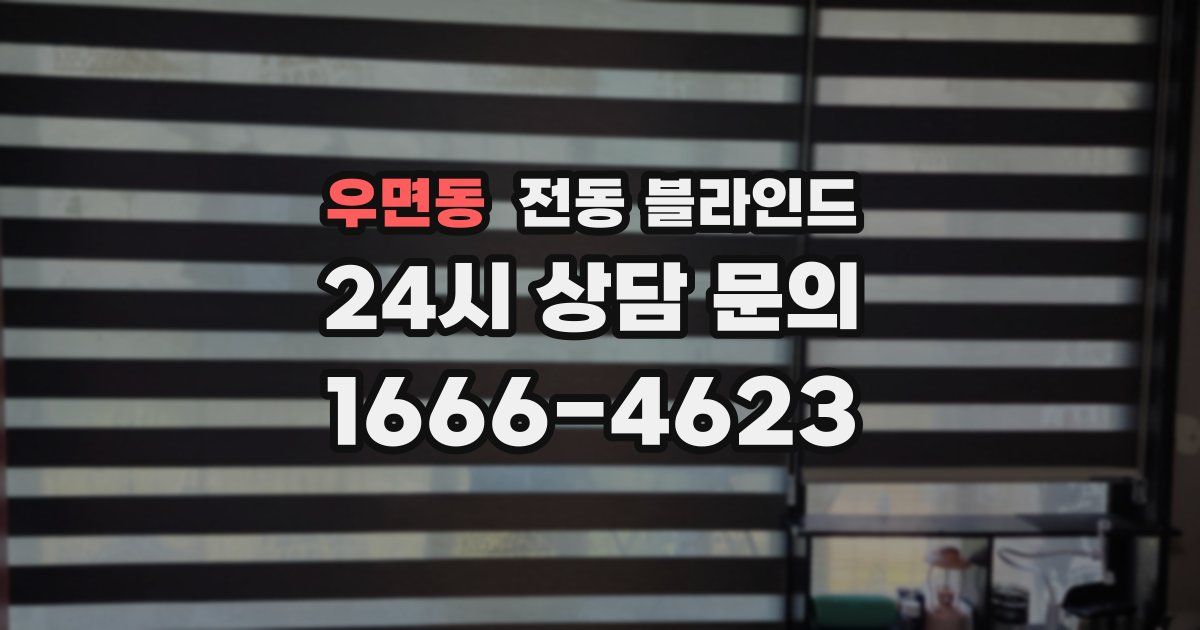 우면동 전동 블라인드