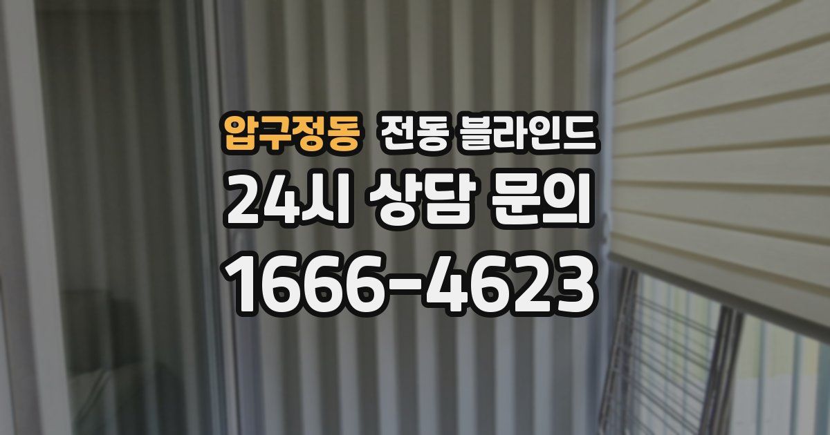 압구정동 전동 블라인드