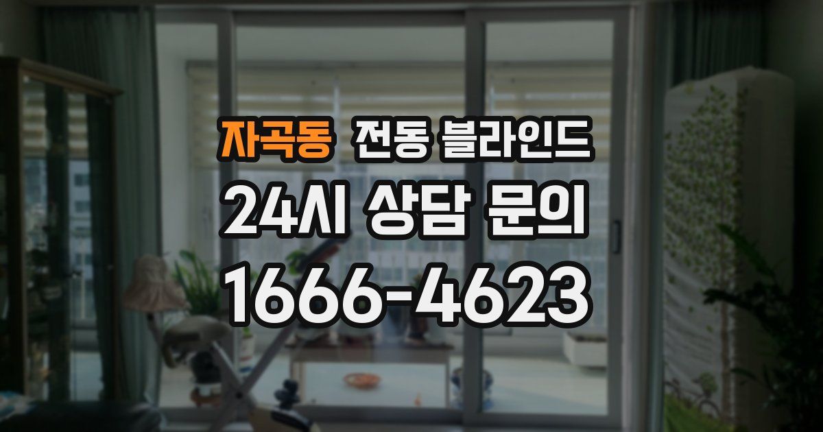 자곡동 전동 블라인드