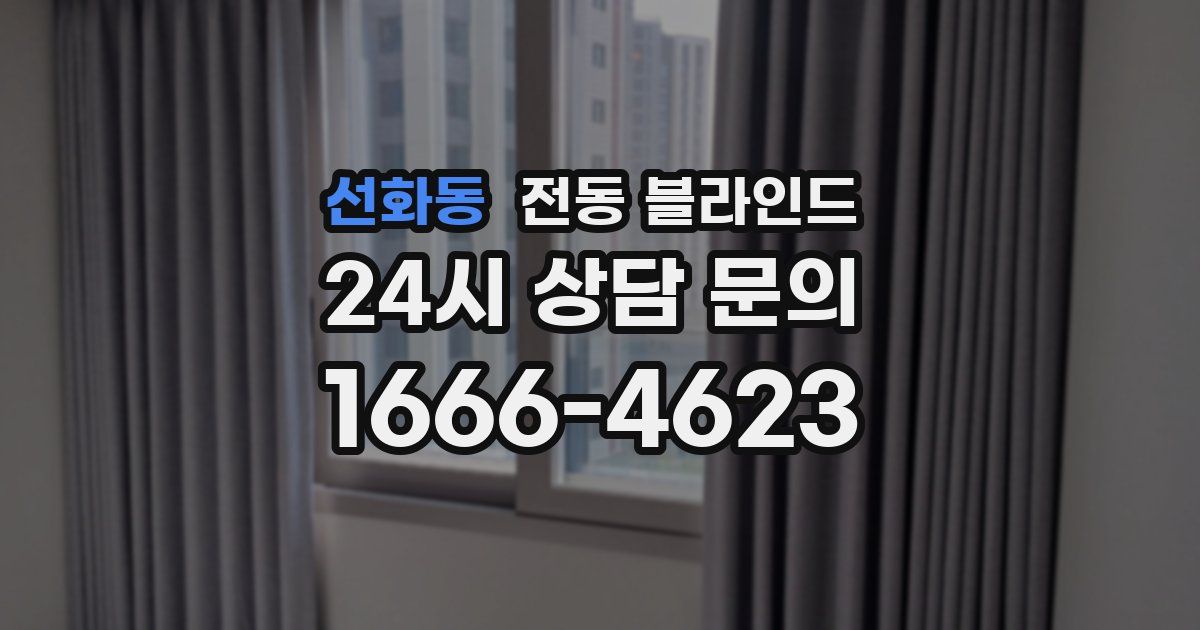 선화동 전동 블라인드
