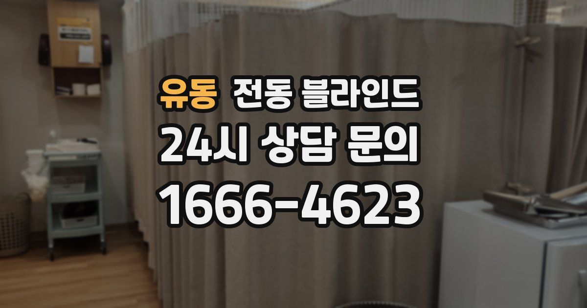 유동 전동 블라인드