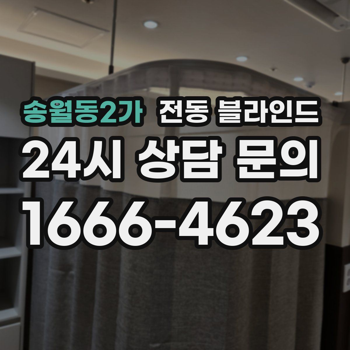 송월동2가 전동 블라인드