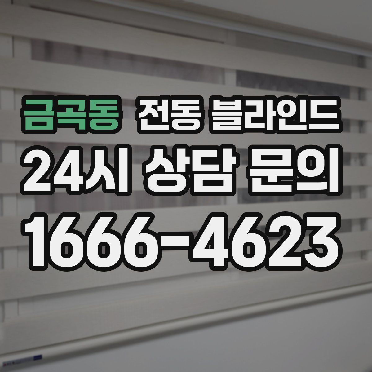 금곡동 전동 블라인드