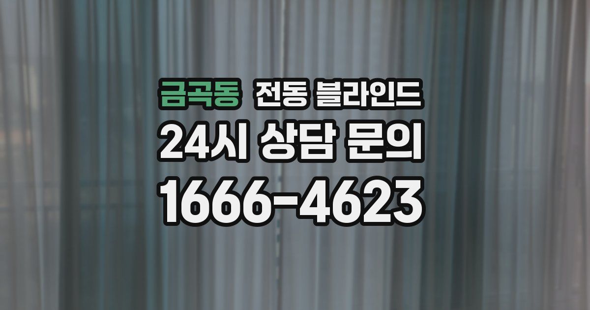 금곡동 전동 블라인드