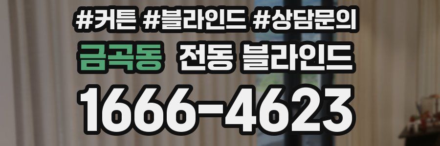금곡동 전동 블라인드