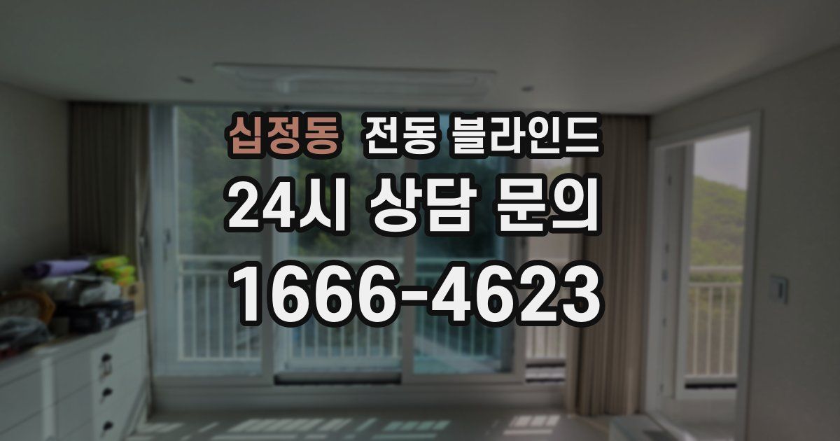 십정동 전동 블라인드