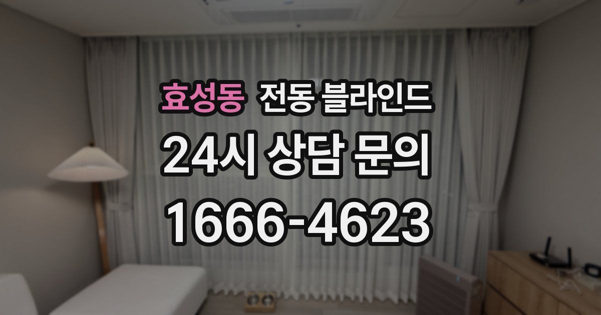 효성동 전동 블라인드