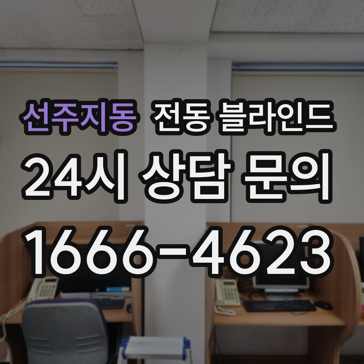 선주지동 전동 블라인드
