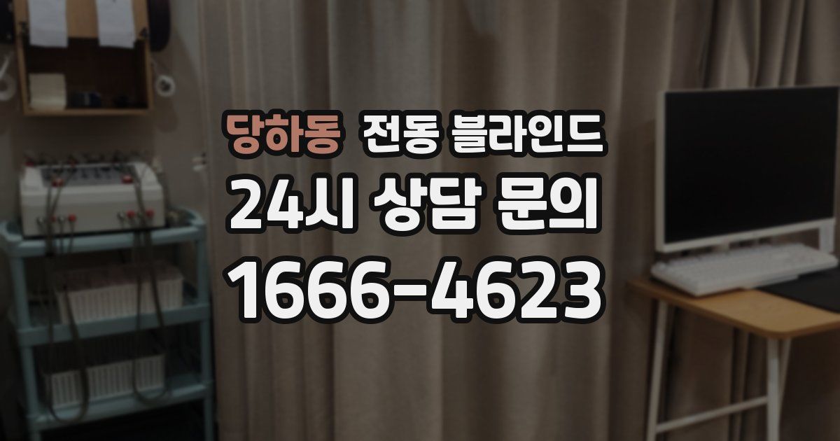 당하동 전동 블라인드