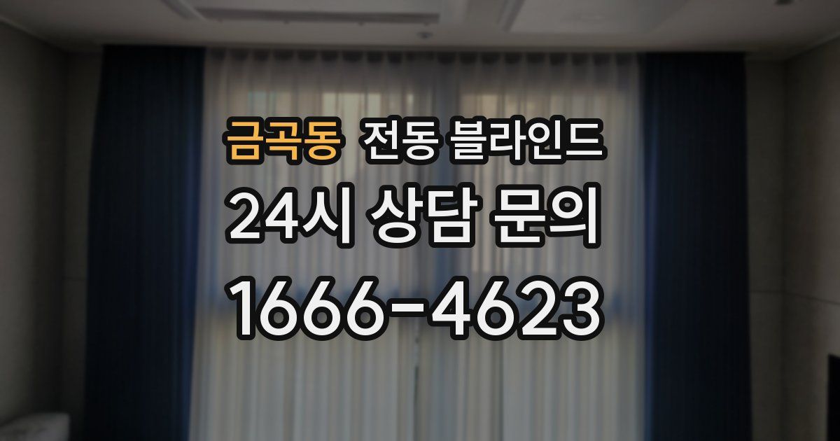 금곡동 전동 블라인드