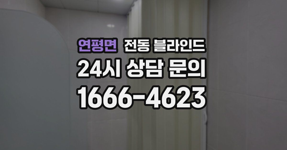 연평면 전동 블라인드