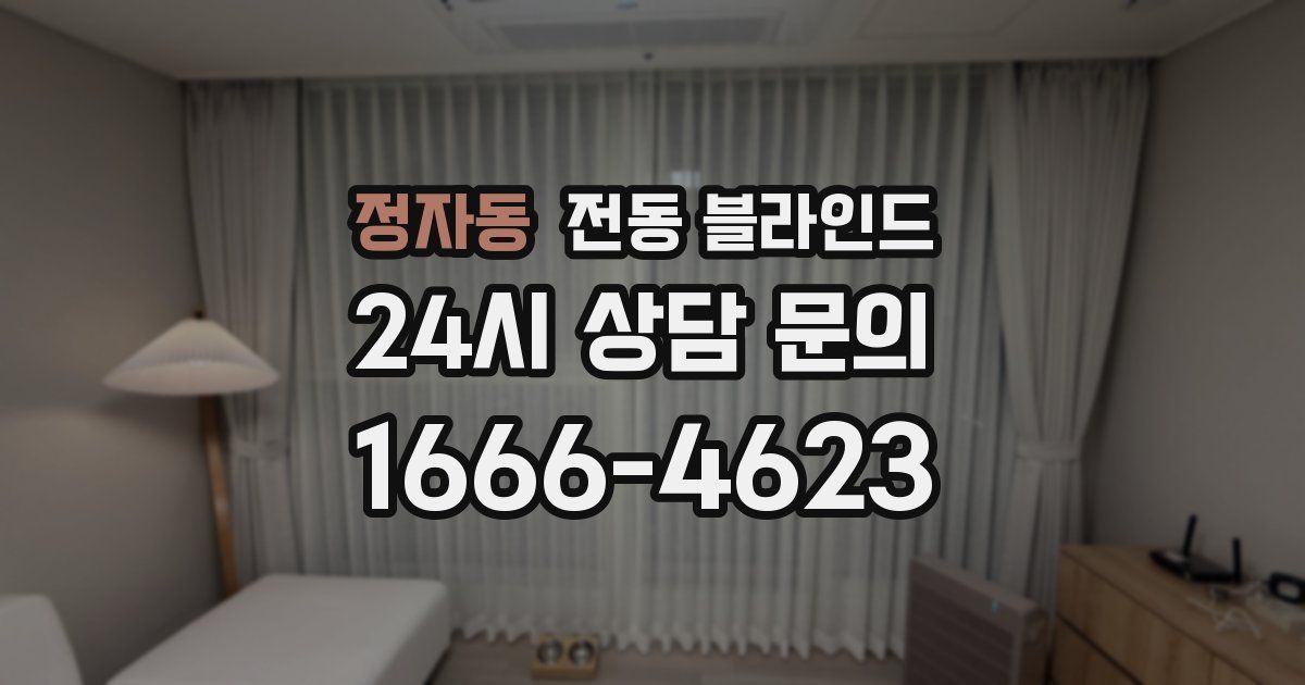 정자동 전동 블라인드