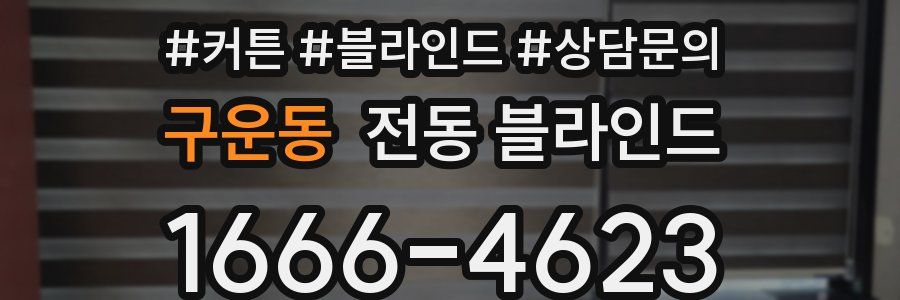 구운동 전동 블라인드