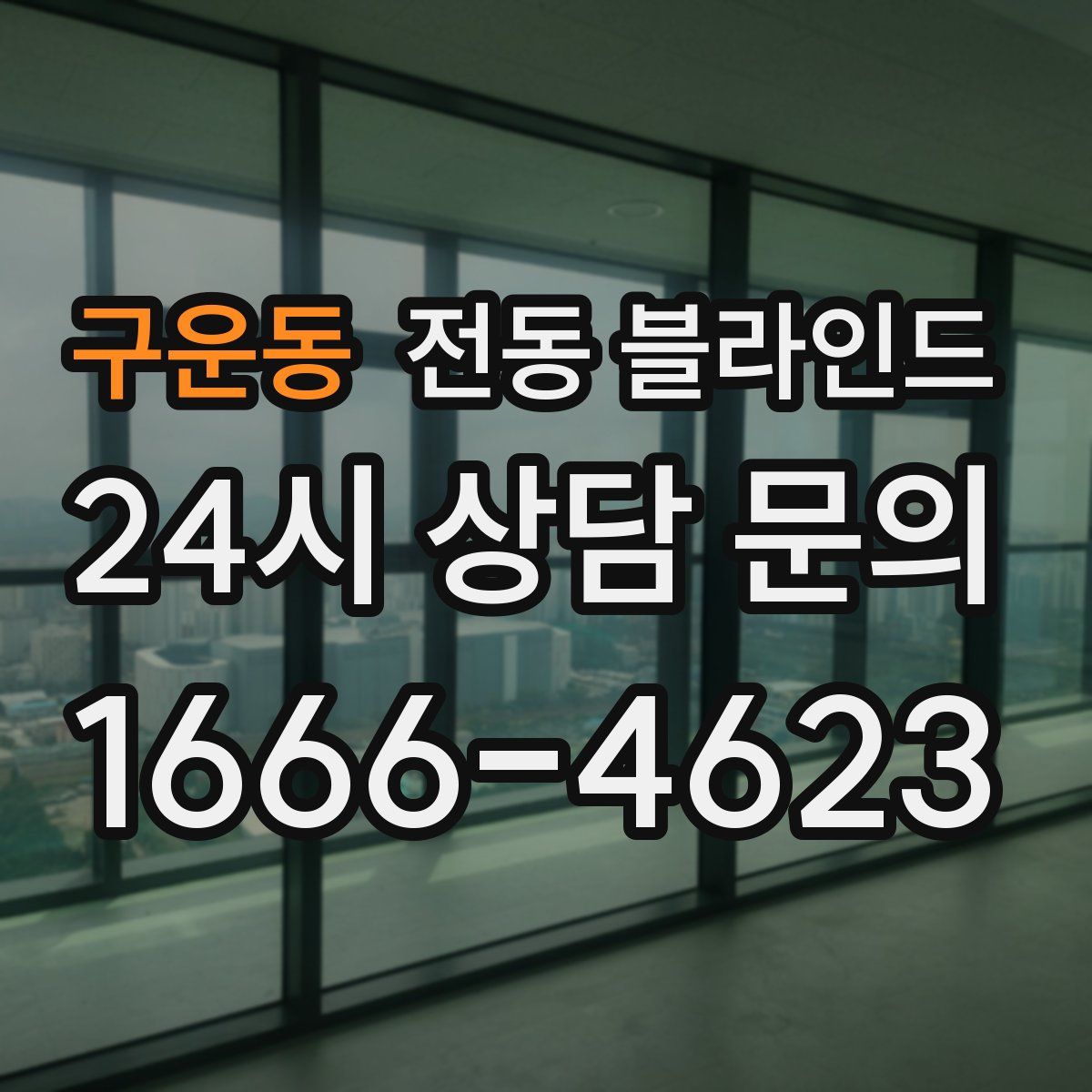 구운동 전동 블라인드