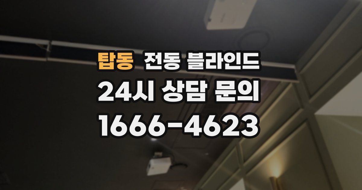 탑동 전동 블라인드
