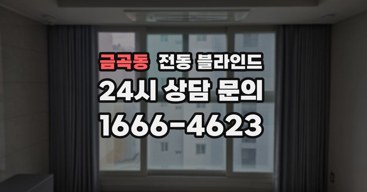 금곡동 전동 블라인드
