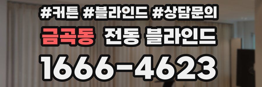 금곡동 전동 블라인드