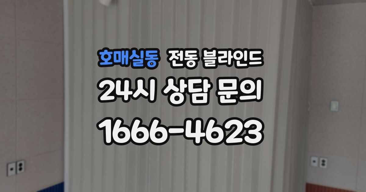 호매실동 전동 블라인드