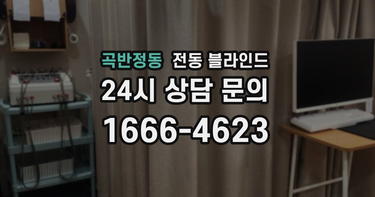 곡반정동 전동 블라인드
