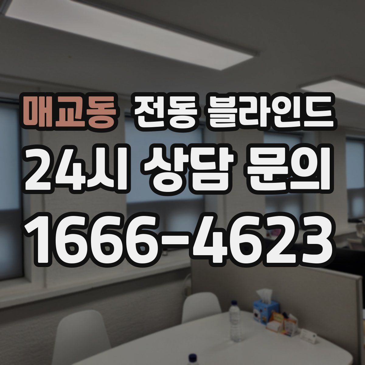 매교동 전동 블라인드