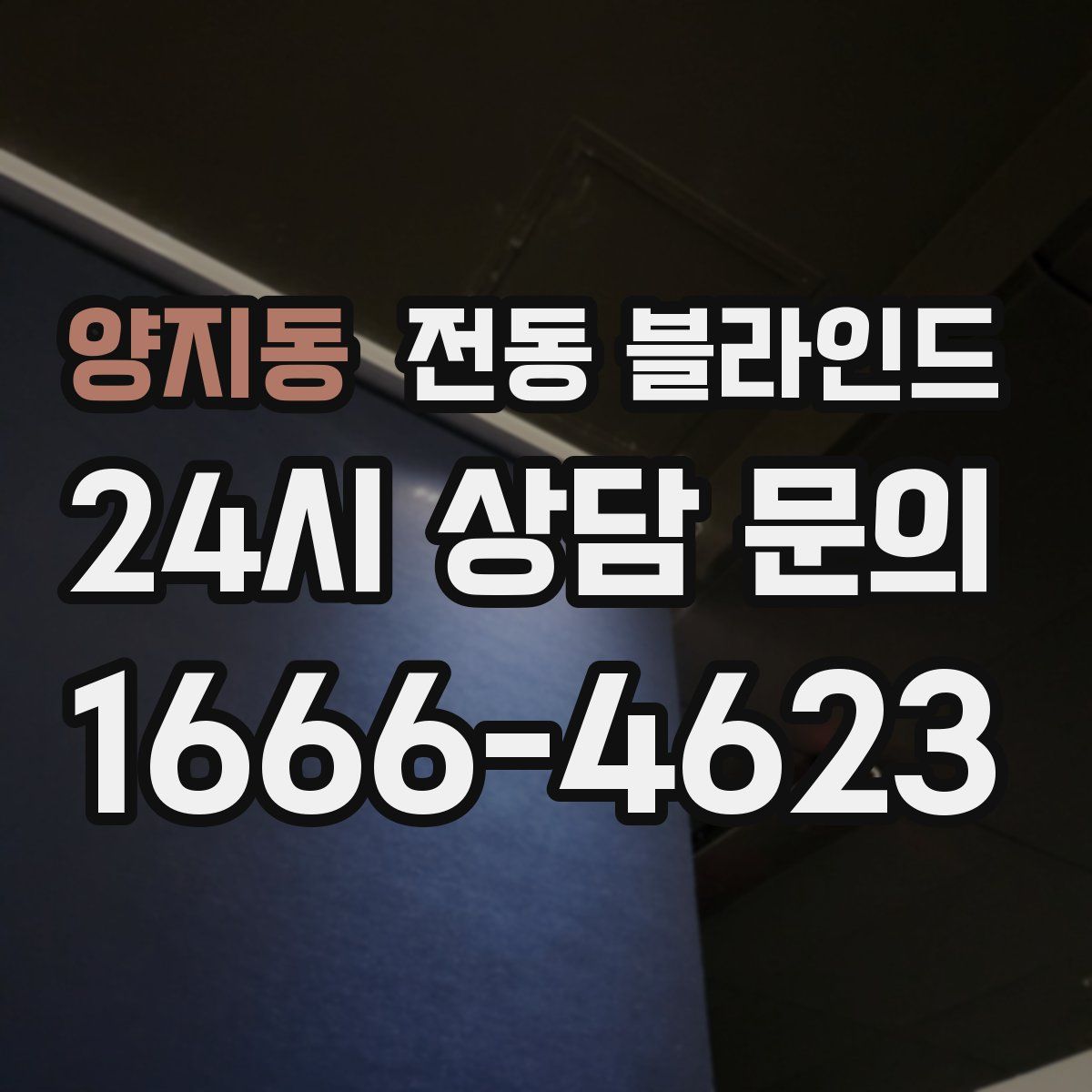 양지동 전동 블라인드