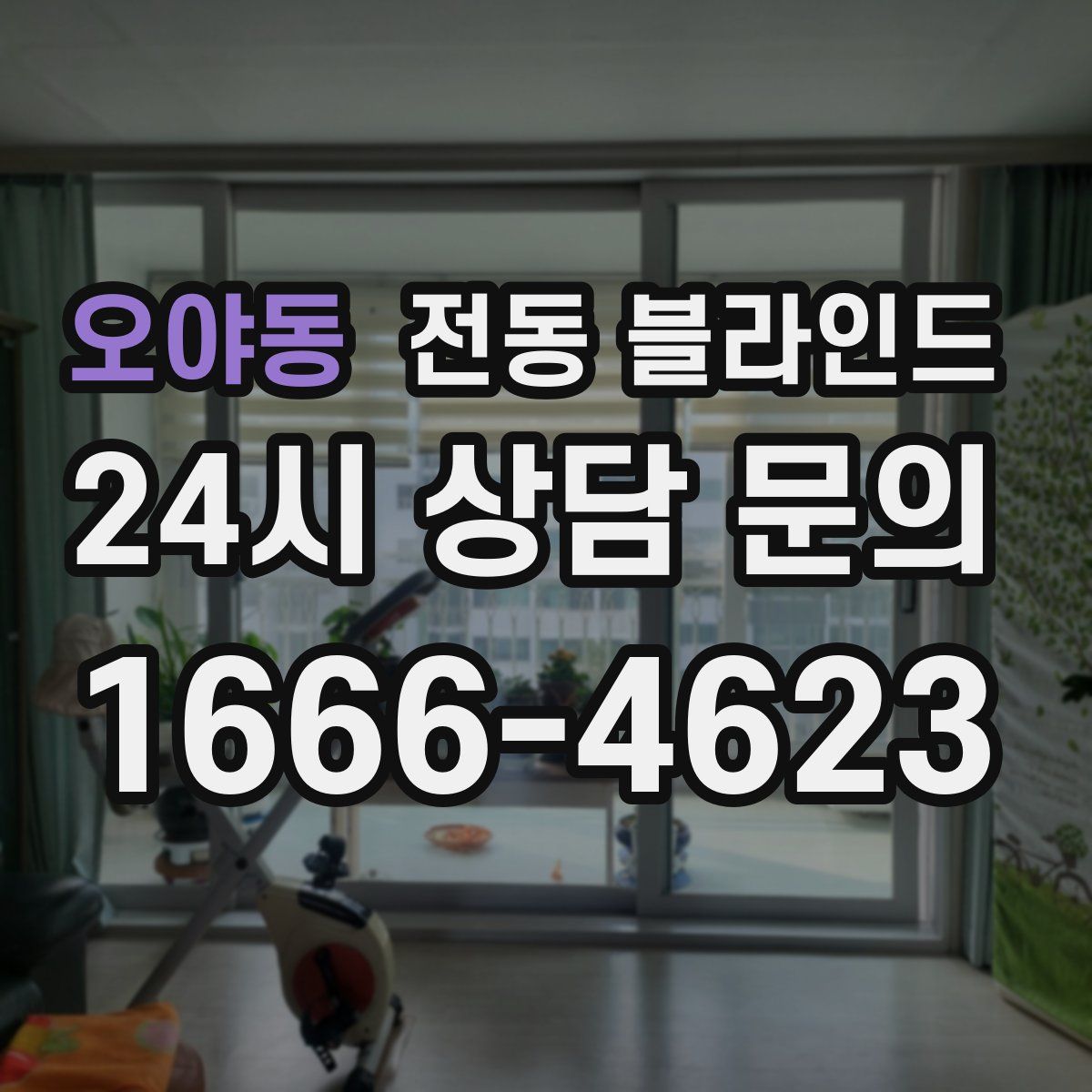 오야동 전동 블라인드