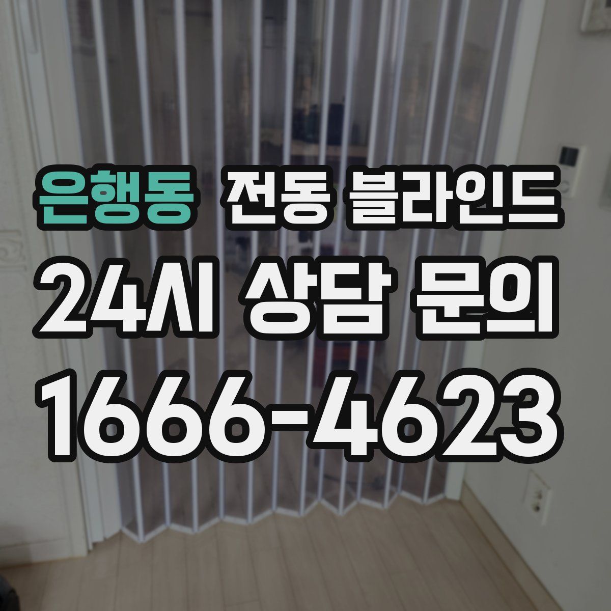 은행동 전동 블라인드