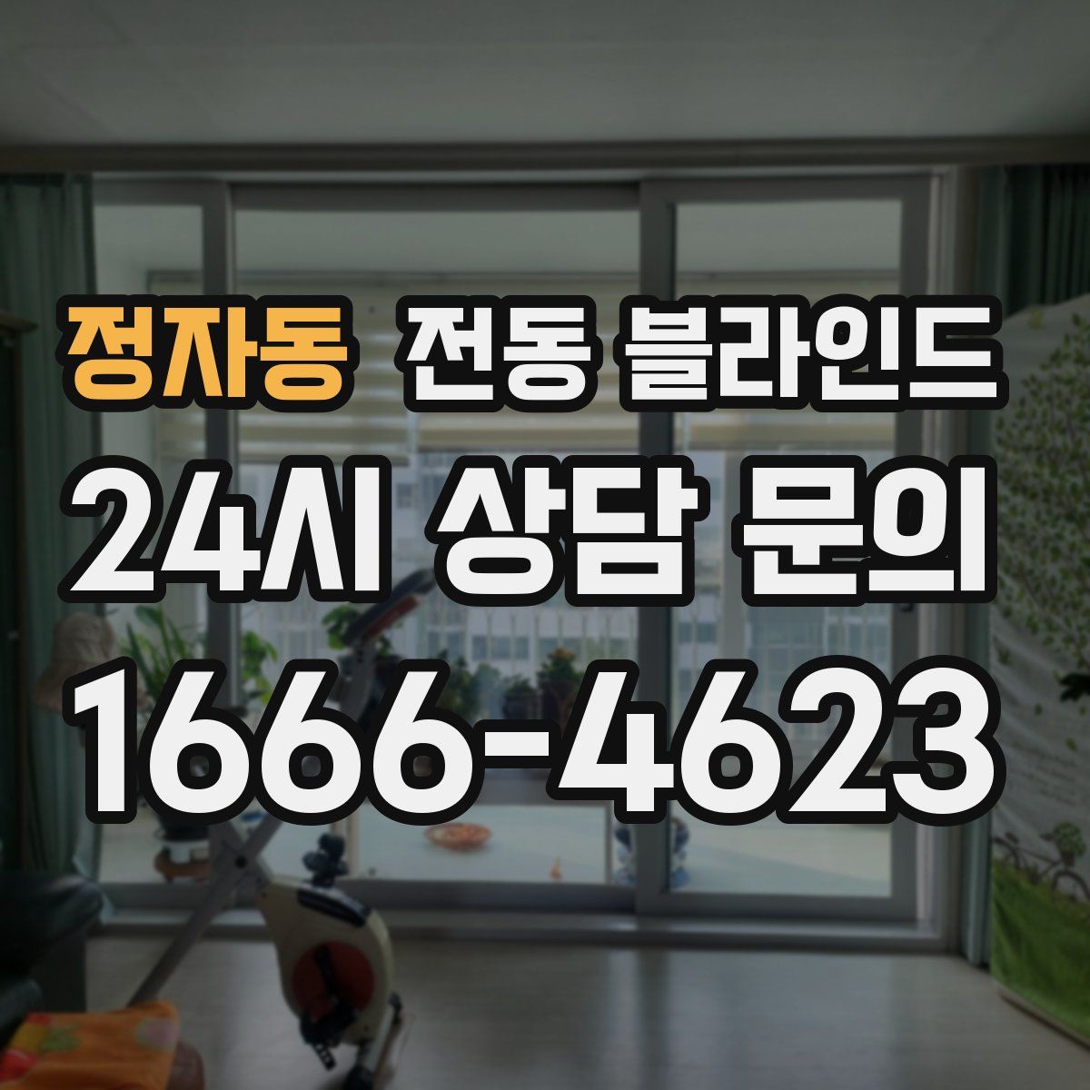 정자동 전동 블라인드