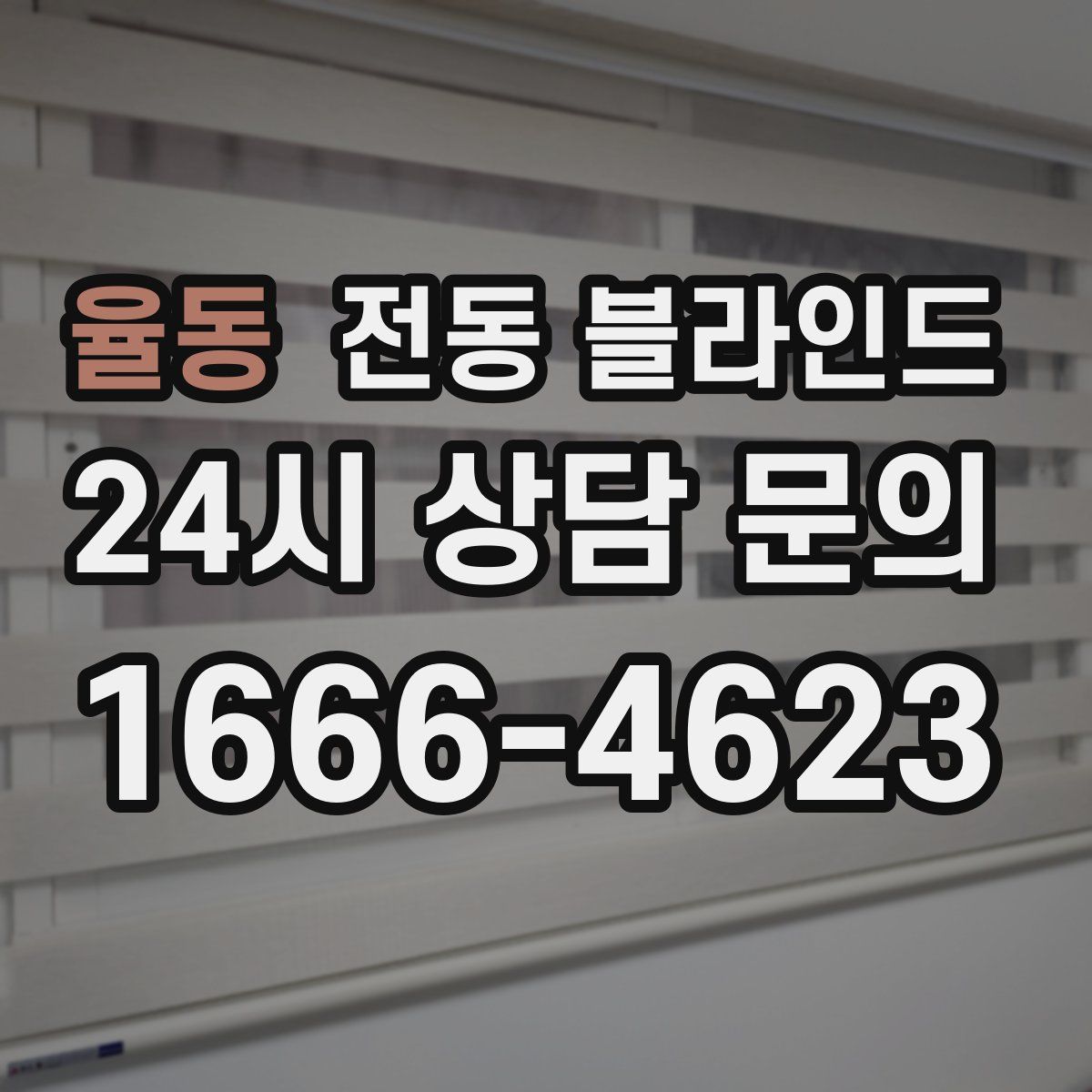 율동 전동 블라인드