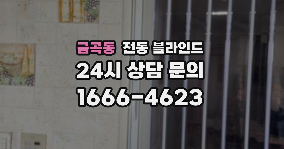 금곡동 전동 블라인드