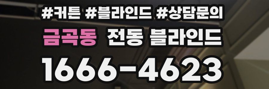 금곡동 전동 블라인드