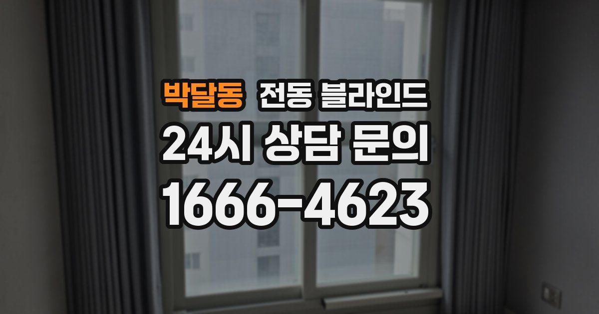 박달동 전동 블라인드