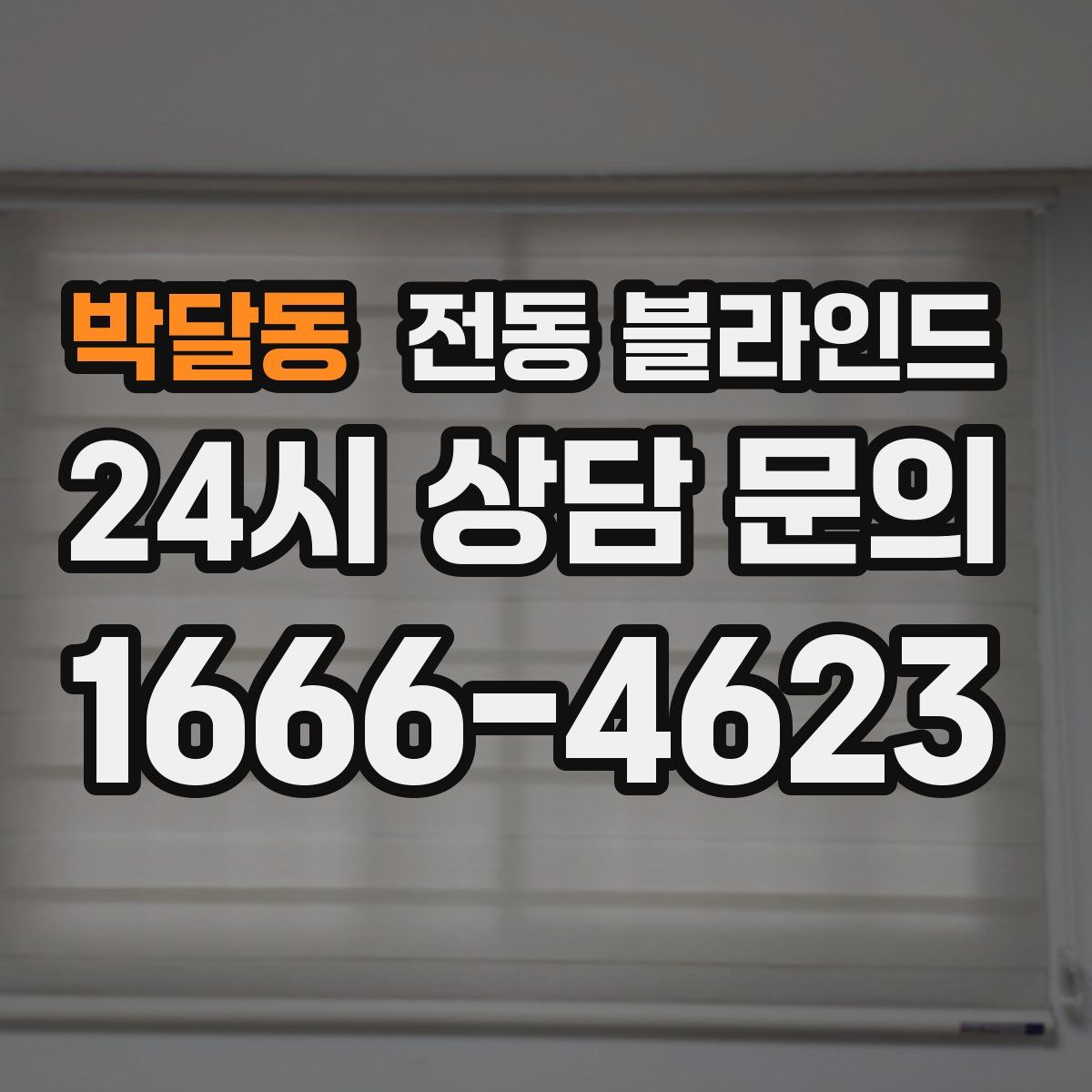 박달동 전동 블라인드