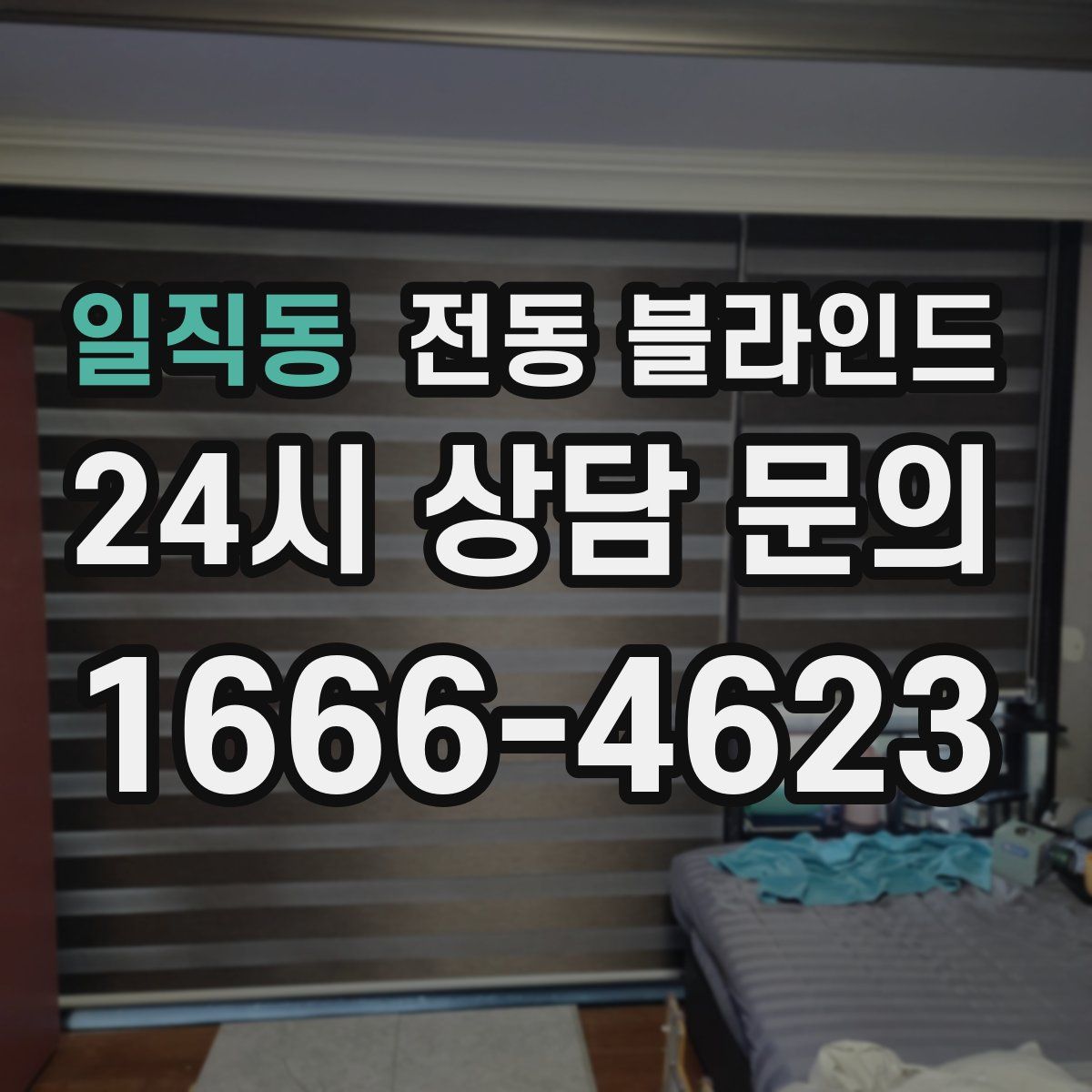 일직동 전동 블라인드