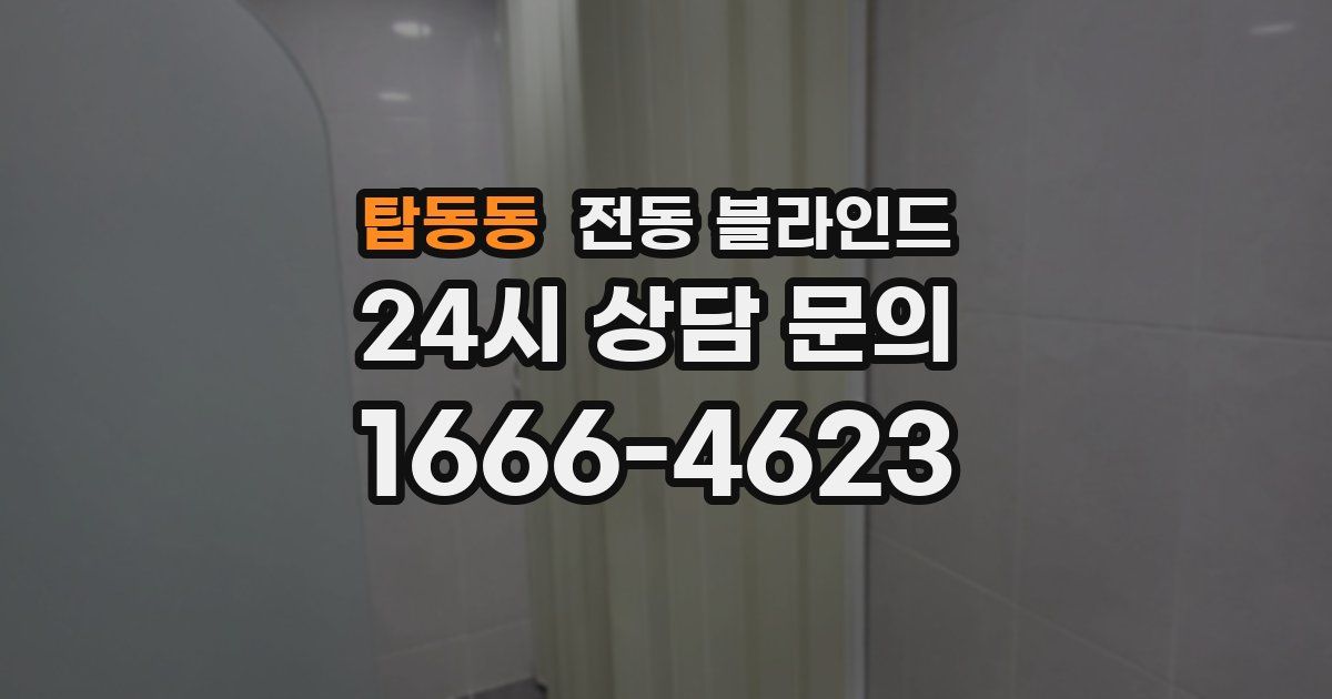 탑동동 전동 블라인드