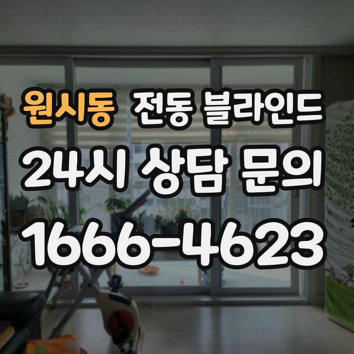 원시동 전동 블라인드