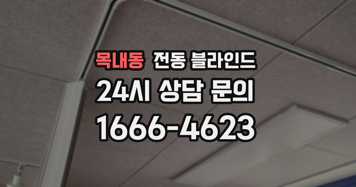 목내동 전동 블라인드