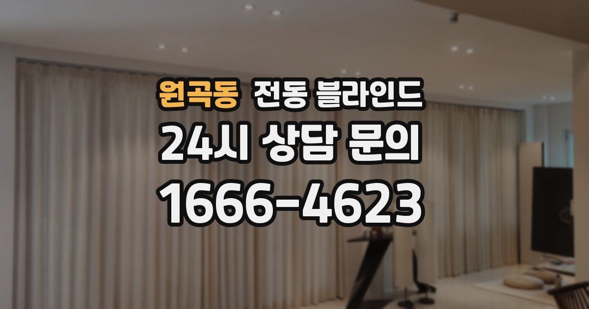 원곡동 전동 블라인드